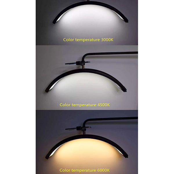 Pro Beauty LED Floor Lamp (7173382701242)